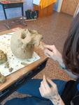 biologia4