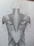 biologia7
