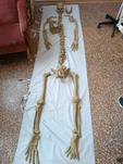 biologia5