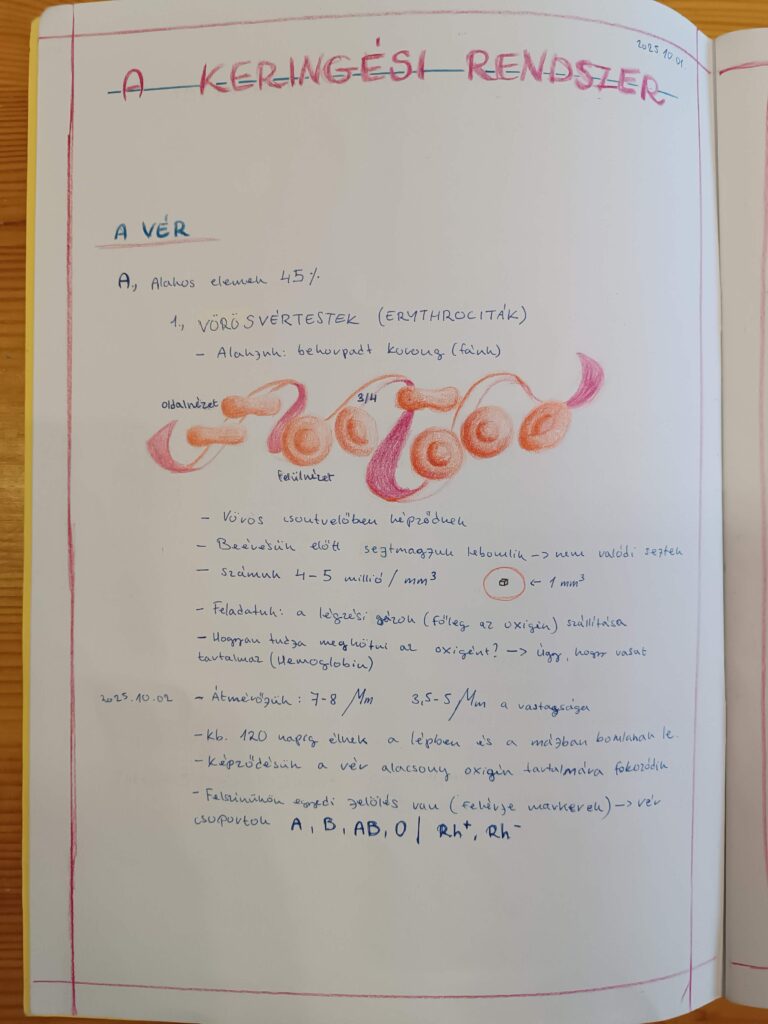 keringési rendszer - biológia epocha