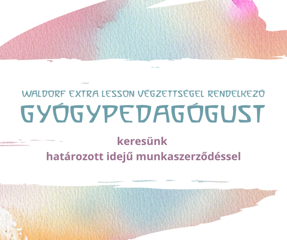Gyógypedagógust keresünk, extra lesson végzettséggel